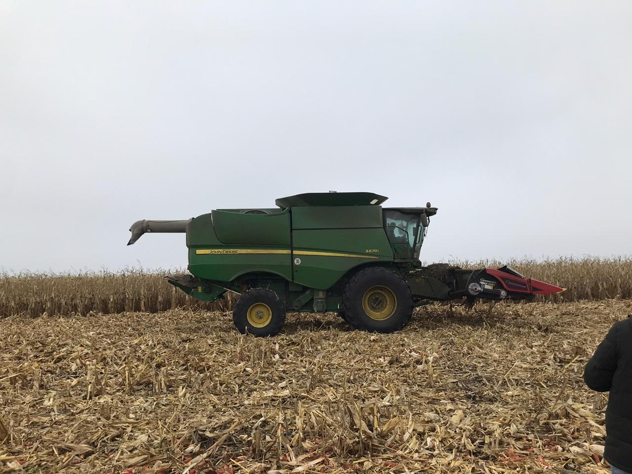 Конкурентні зарплати в агробізнесі залучають в галузь все більше молоді - менеджер "Укрлендфармінга"